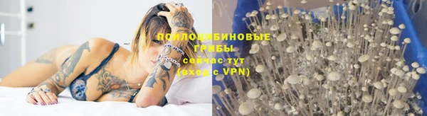 кокс Арсеньев
