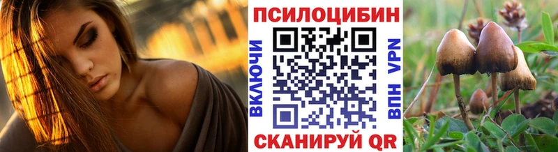 Псилоцибиновые грибы прущие грибы Оса